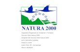 Segreteria Regionale all' Ambiente e Territorio Servizio Rete Natura 2000 Dirigente del Servizio Rete Natura 2000 arch. Antonella Camatta Palazzo Linetti.