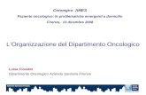 LOrganizzazione del Dipartimento Oncologico Luisa Fioretto Dipartimento Oncologico Azienda Sanitaria Firenze Convegno AMES Paziente oncologico: le problematiche.