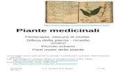 4.6.03 MmP 5.1 © P. Forster & B. Buser1 / 20 Piante medicinali Fitoterapia, stesura di ricette Difesa della pianta - rimedio umano Piccolo erbario Parti.