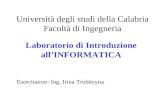 Università degli studi della Calabria Facoltà di Ingegneria Laboratorio di Introduzione allINFORMATICA Esercitatore: Ing. Irina Trubitsyna.