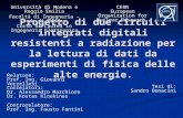 Progetto di due circuiti integrati digitali resistenti a radiazione per la lettura di dati da esperimenti di fisica delle alte energie. Università di Modena.
