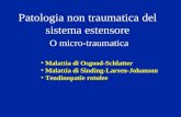 Patologia non traumatica del sistema estensore O micro-traumatica Malattia di Osgood-Schlatter Malattia di Sinding-Larsen-Johanson Tendinopatie rotulee.