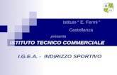 Istituto E. Fermi Castellanza ISTITUTO TECNICO COMMERCIALE I.G.E.A. - INDIRIZZO SPORTIVO presenta.