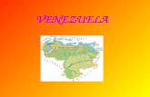 VENEZUELA. Dati generali Nome ufficiale: Repùblica Bolivariana de Venezuela Nome del paese: Venezuela.