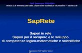 Presentazione POR "SapRete" 15/11/2007 POR Sardegna 2005/2006 Misura 3.6 Prevenzione della dispersione scolastica e formativa – azione 3.6° SapRete Saperi.
