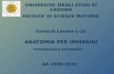 UNIVERSITA DEGLI STUDI DI CASSINO FACOLTA DI SCIENZE MOTORIE Corso di Laurea L-22 AA 2009-2010 ANATOMIA PER IMMAGINI TOMOGRAFIA E RISONANZA Dr.ssa Veronica.