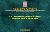 Regione Umbria Direzione Risorsa Umbria. Federalismo, risorse finanziarie, umane e strumentali Servizio Risorse Idriche e Rischio Idraulico LUTILIZZO CONSAPEVOLE.