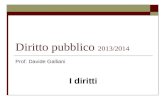Diritto pubblico 2013/2014 Prof. Davide Galliani I diritti.