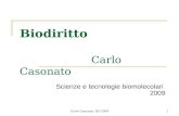 Carlo Casonato, BD 20091 Biodiritto Carlo Casonato Scienze e tecnologie biomolecolari 2009.