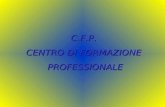 C.F.P. CENTRO DI FORMAZIONE PROFESSIONALE PROFESSIONALE.
