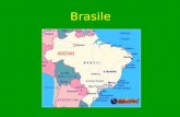 Brasile. Superficie8.547.393 km Popolazione174.633.000 abitanti Densità20 abitanti per kmq CapitaleBrasilia (272.002 abitanti) Forma di governoRepubblica.