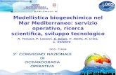 CNOO2 Cesenatico 27-28 Maggio 2010 Modellistica biogeochimica nel Mar Mediterraneo: servizio operativo, ricerca scientifica, sviluppo tecnologico A. Teruzzi,