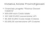 Iniziativa Azione ProvincEgiovani Finanziato progetto Risorsa Giovani Calabria 503.000 euro Costo totale 337.000 EURO sovvenzione UPI 95.400 EURO Costo.
