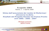 Settore Laboratorio e controlli – Gruppo di lavoro Fitofarmaci delle Agenzie Ambientali  Ecopolis 2009 Roma, 1 – 3 aprile 2009.