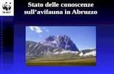 Stato delle conoscenze sullavifauna in Abruzzo. 276 specie censite (check-list Pellegrini) 276 specie censite (check-list Pellegrini) 29 nidificanti di.