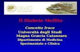 Il Diabete Mellito Concetta Irace Università degli Studi Magna Græcia Catanzaro Dipartimento di Medicina Sperimentale e Clinica.