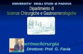 UNIVERSITA DEGLI STUDI di PADOVA Direttore: Prof. G. Favia Endocrinochirurgia.
