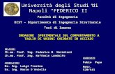 Università degli Studi di Napoli FEDERICO II DIST – Dipartimento di Ingegneria Strutturale INDAGINE SPERIMENTALE SUL COMPORTAMENTO A TAGLIO DI UNIONI CHIODATE.