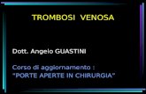 TROMBOSI VENOSA Dott. Angelo GUASTINI Corso di aggiornamento : PORTE APERTE IN CHIRURGIA.