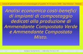 Corso di specializzazione sul compostaggio di qualità 14-15 marzo 2006 – Sep Pollution - Padova Analisi economica costi-benefici di impianti di compostaggio.