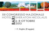 F. Niglio (Foggia). Accessi Vascolari: realtà locali e bisogni di salute Francesco Niglio A.N.E.D. - Comitato Puglia.