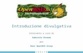 Introduzione divulgativa Intervento a cura di Gabriele Biondo per Beer OpenBSD Group w e b b i t 0 4.
