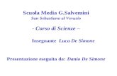 Scuola Media G.Salvemini San Sebastiano al Vevusio - Corso di Scienze – Insegnante Luca De Simone Presentazione eseguita da: Danio De Simone.