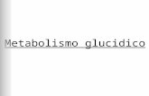 Metabolismo glucidico. Glicemia a digiuno La concentrazione del glucosio nel sangue è una variabile omeostatica: lorganismo tende a mantenere le oscillazioni.