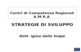 Centri di Competenza Regionali A.M.R.A STRATEGIE DI SVILUPPO Dott. Igino della Volpe.