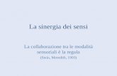 La sinergia dei sensi La collaborazione tra le modalità sensoriali è la regola (Stein, Meredith, 1993)