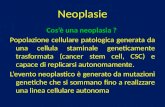 Neoplasie Cosè una neoplasia ? Popolazione cellulare patologica generata da una cellula staminale geneticamente trasformata (cancer stem cell, CSC) e capace.