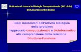 Dottorato di ricerca in Biologia Computazionale (XVI ciclo) Dott.ssa Costantini Susan 20 dicembre 2004 Basi molecolari dellattività biologica delle proteine: