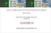 BIOTECNOLOGIE FARMACOLOGICHE AA 2011-12 LEZIONE 18 Acidi nucleici e nuovi farmaci III CORSO DI LAUREA SPECIALISTICA IN BIOTECNOLOGIE DEL FARMACO Valeria.