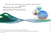 Scuola secondaria di I grado «Norberto Bobbio Relazione finale progetto Pracatinat Alla c/a della dott.ssa Liliana CARRILLO, coordinatrice dei servizi.