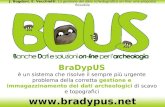 J. Bogdani, E. Vecchietti, La gestione del dato schedografico on-line: una proposta flessibile  BraDypUS è un sistema che risolve il sempre.