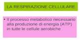 LA RESPIRAZIONE CELLULARE Il processo metabolico necessario alla produzione di energia (ATP) in tutte le cellule aerobiche.