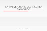 Dr.ssa Donata Serra-SPSAL Modena LA PREVENZIONE DEL RISCHIO BIOLOGICO.