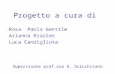 Progetto a cura di Rosa Paola Gentile Arianna Risoleo Luca Candigliota Supervisore prof.ssa G. Scicchitano.