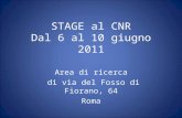 STAGE al CNR Dal 6 al 10 giugno 2011 Area di ricerca di via del Fosso di Fiorano, 64 Roma.