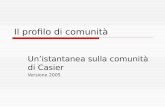 Il profilo di comunità Unistantanea sulla comunità di Casier Versione 2005.