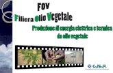 PROGETTO FOV Filiera Olio Vegetale Il Co.Na.Pi. – Consorzio Nazionale Piattaforme Riciclaggio – Propone il progetto di cogenerazione da olio vegetale.