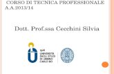 C ORSO DI T ECNICA P ROFESSIONALE A. A.2013/14 Dott. Prof.ssa Cecchini Silvia.