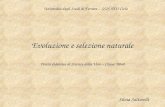 Evoluzione e selezione naturale Unità didattica di Scienze della Vita – Classe A060 Silvia Saltarelli Università degli Studi di Ferrara – SSIS VIII Ciclo.