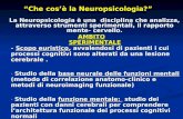 Che cosè la Neuropsicologia? La Neuropsicologia è una disciplina che analizza, attraverso strumenti sperimentali, il rapporto mente- cervello. AMBITO SPERIMENTALE.