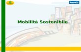 Mobilità Sostenibile. Parco veicoli in Italia Parco circolante in Italia: oltre 36 milioni di veicoli, 3 milioni e 750 mila veicoli commerciali e 6 milioni