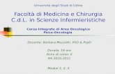 Università degli Studi di Udine Facoltà di Medicina e Chirurgia C.d.L. in Scienze Infermieristiche Corso Integrato di Area Oncologica Psico-Oncologia.