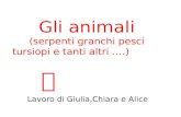 Gli animali (serpenti granchi pesci tursiopi e tanti altri ….) Lavoro di Giulia,Chiara e Alice.