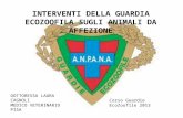 INTERVENTI DELLA GUARDIA ECOZOOFILA SUGLI ANIMALI DA AFFEZIONE DOTTORESSA LAURA CAGNOLI MEDICO VETERINARIO PISA Corso Guardie EcoZoofile 2013.