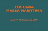 TOSCANA MASSA MARITTIMA Podere Campo Casale.
