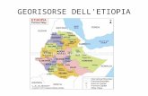 GEORISORSE DELL'ETIOPIA. Prima di passare in rassegna quali sono i minerali più importanti della Etiopia, é bene tracciare un breve lineamento geomorfologico.